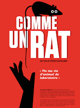 comme un rat l'affiche du film